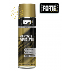 Forté Air Intake & Valve Cleaner.